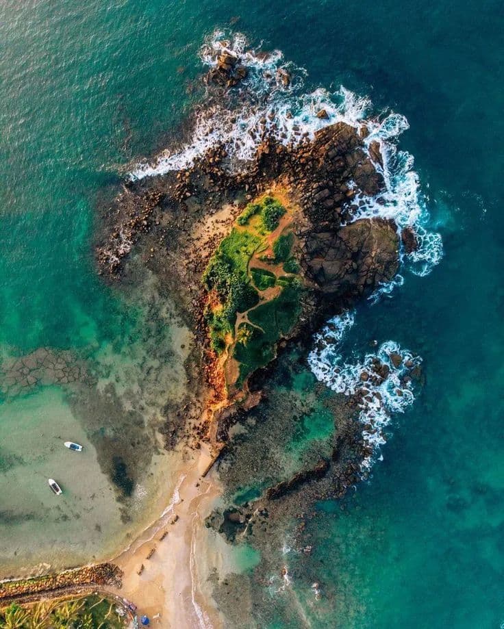 Parrot Rock